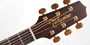 Takamine P3NC Guitarra electroacústica NEX con tapa de cedro macizo