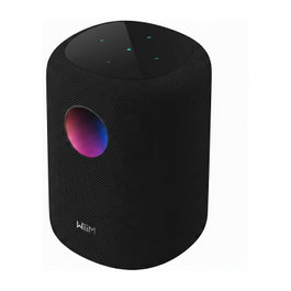WiiM WiiM Sound Altavoz Inteligente, 100 W RMS, Conexión Bluetooth 5.3 y Wi-Fi 6E, Auxiliar, Altavoz de Estante de 2 Vías, Negro