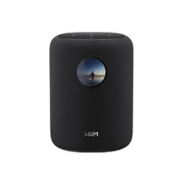 WiiM LPWISND Sound Altavoz Inteligente Negro