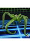 Gargantos Figura 15 cm Gamerverse Marvel Legends Series