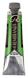 Rembrandt Verde Permanente Claro 618 Óleo en Tubo 40 ml