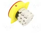 PROMET Interruptor de leva 60A 2 posiciones 0-1