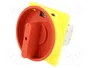 PROMET Interruptor de leva 60A 2 posiciones 0-1