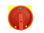 PROMET Interruptor de leva 60A 2 posiciones 0-1