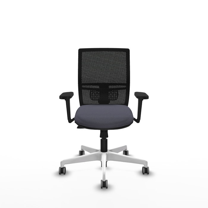 PIQUERAS Y CRESPO Silla de oficina Yunquera con mecanismo Sincro/Traslack, Gris oscuro y Negro PIQUERAS Y CRESPO Silla de oficina Yunquera con mecanismo Sincro/Traslack, Gris oscuro y Negro