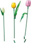 LEGO Botanicals Ramo de Tulipanes 11501