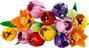 LEGO Botanicals Ramo de Tulipanes 11501