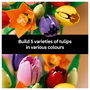 LEGO Botanicals Ramo de Tulipanes 11501