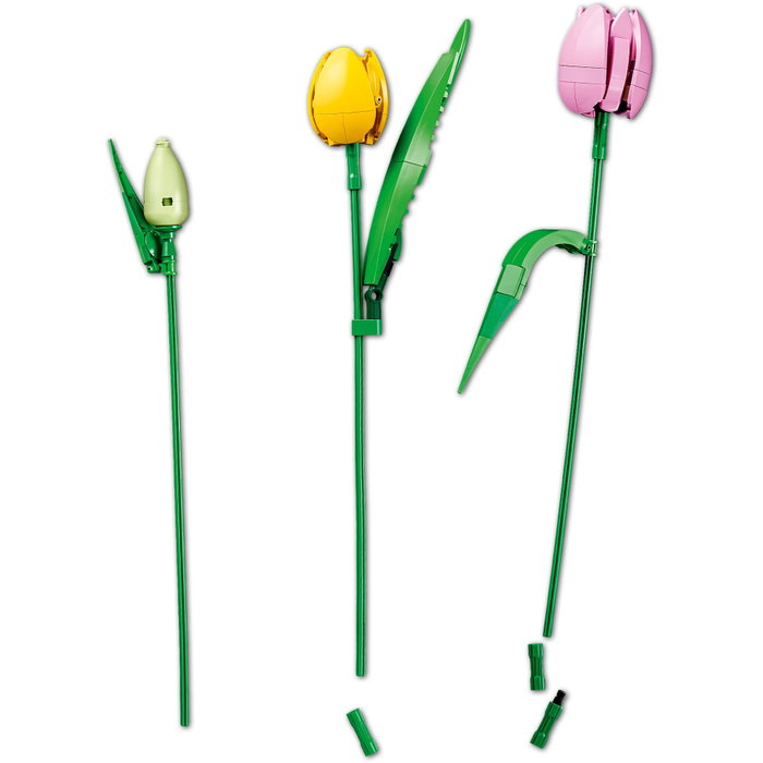 LEGO Botanicals Ramo de Tulipanes 11501