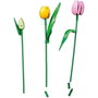LEGO Botanicals Ramo de Tulipanes 11501