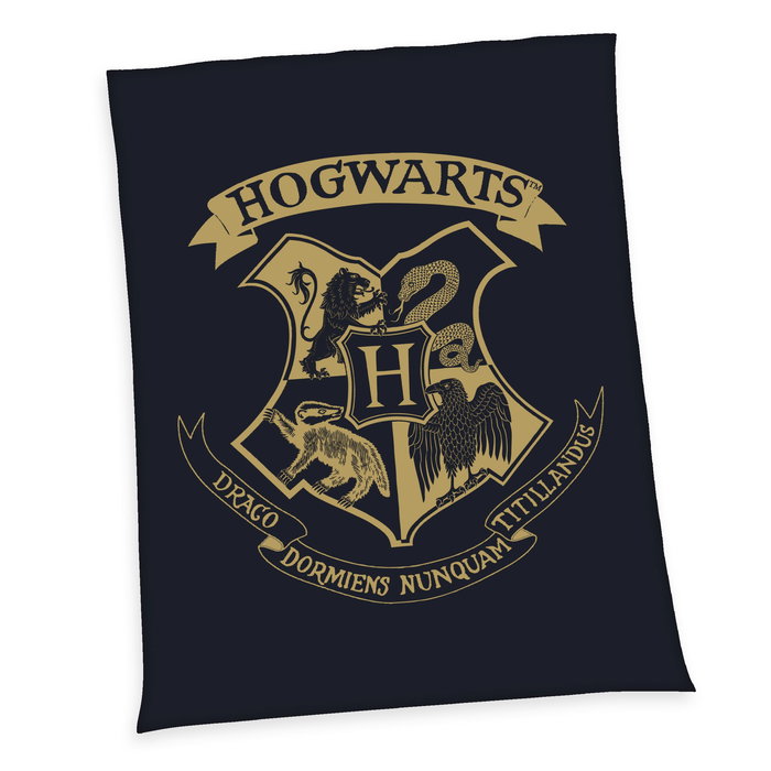 Harry Potter Manta Polar Hogwarts 150 x 200 cm Harry Potter Manta Polar Hogwarts 150 x 200 cm