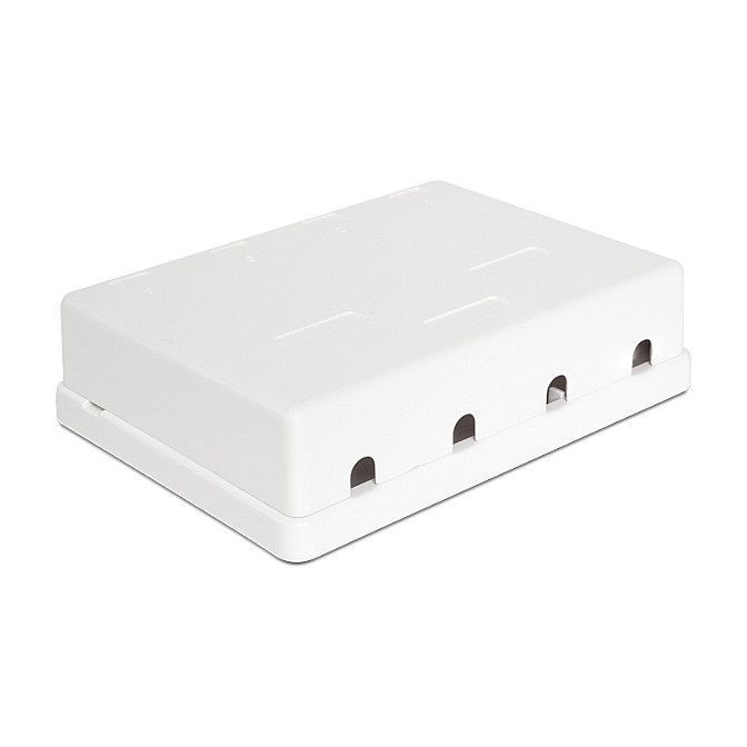 DeLOCK 86208 Keystone Leergehäuse 4 Port Blanco