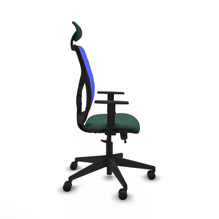 PIQUERAS Y CRESPO Silla de oficina Motilla Sincro/Traslack Verde botella/Azul PIQUERAS Y CRESPO Silla de oficina Motilla Sincro/Traslack Verde botella/Azul