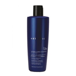 Artistic Hair Hydra Care Shampoo 300ml