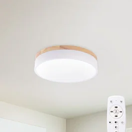 Plafón LED Circular Superficie 24W 2493Lm con Mando a Distancia (Intensidad-CCT) 10.000H [HO-CCT-DL24W]