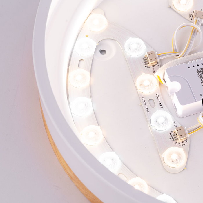 Plafón LED Circular 24W 2493Lm con Mando a Distancia (CCT Seleccionable)