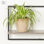 MAX HOME-ESTANTERIA PARED 1 BA