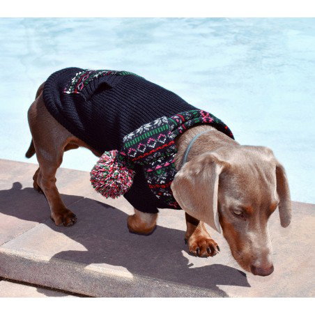 Nayeco Jersey de Punto College para Perro, 20 cm