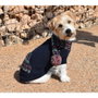 Nayeco Jersey de Punto College para Perro, 20 cm