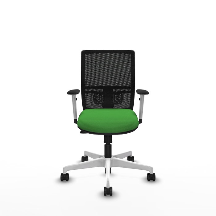 PIQUERAS Y CRESPO Silla de oficina Yunquera con mecanismo Sincro/Traslack, Verde y Negro PIQUERAS Y CRESPO Silla de oficina Yunquera con mecanismo Sincro/Traslack, Verde y Negro