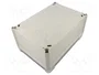 OBO BETTERMANN Caja de conexiones IP66 gris claro