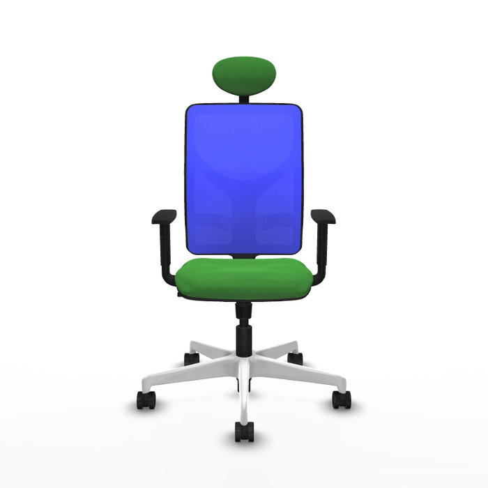 PIQUERAS Y CRESPO Silla de oficina Motilla Verde y Azul PIQUERAS Y CRESPO Silla de oficina Motilla Verde y Azul