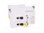 SCHNEIDER ELECTRIC Interruptor magnetotérmico iC60N 25A 2 polos B