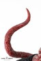 Pure Arts Busto de Licker 1/1 Resident Evil