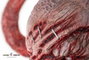 Pure Arts Busto de Licker 1/1 Resident Evil