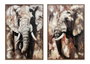 DKD Home Decor Cuadro Lienzo Elefante Set de 2 Unidades 60x90 cm