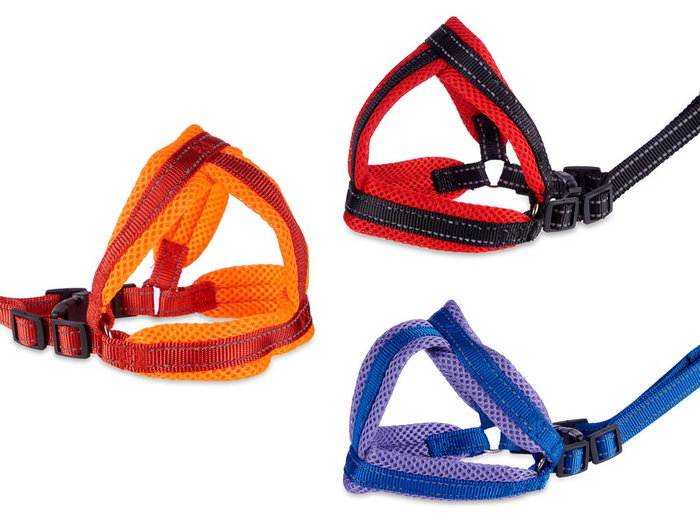 Mascow Arnés con Correa Pequeño para Perro Surtido de Colores 8x74x12 cm (Set de 12)