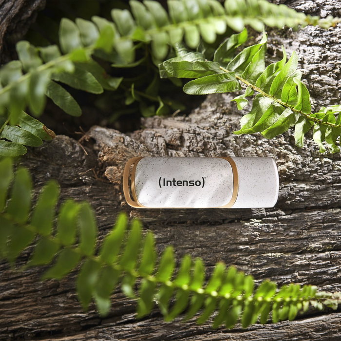 Intenso Green Line 32 GB USB Stick 3.2 Gen 1