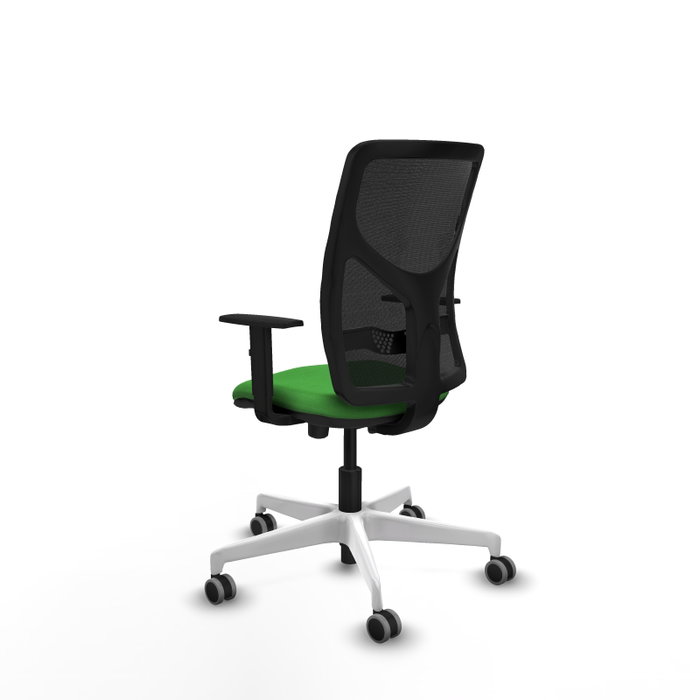 PIQUERAS Y CRESPO Silla de oficina Motilla con mecanismo Sincro/Traslack, Verde y Negro PIQUERAS Y CRESPO Silla de oficina Motilla con mecanismo Sincro/Traslack, Verde y Negro