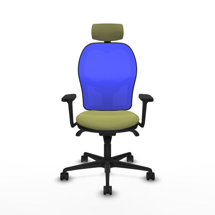 PIQUERAS Y CRESPO Silla de oficina Jorquera con mecanismo Sincro, Verde oliva y Azul PIQUERAS Y CRESPO Silla de oficina Jorquera con mecanismo Sincro, Verde oliva y Azul