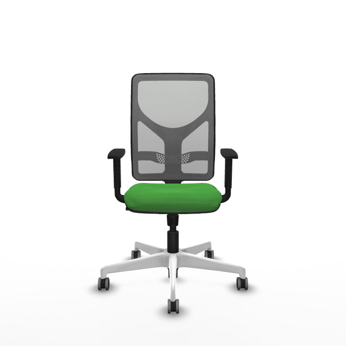 PIQUERAS Y CRESPO Silla de oficina Motilla con mecanismo Sincro, Verde y Gris PIQUERAS Y CRESPO Silla de oficina Motilla con mecanismo Sincro, Verde y Gris
