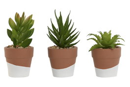 DKD Home Decor Surtido de 3 Macetas de Cemento y PE (5,5x5,5x13 cm)
