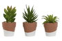 DKD Home Decor Surtido de 3 Macetas de Cemento y PE (5,5x5,5x13 cm)