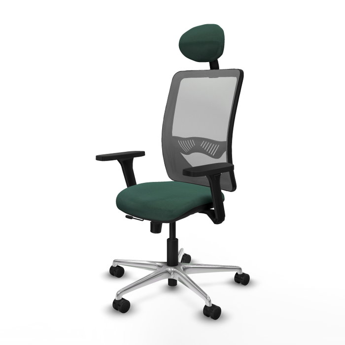 PIQUERAS Y CRESPO Silla de oficina Zulema con mecanismo Sincro/Traslack, verde botella y gris PIQUERAS Y CRESPO Silla de oficina Zulema con mecanismo Sincro/Traslack, verde botella y gris