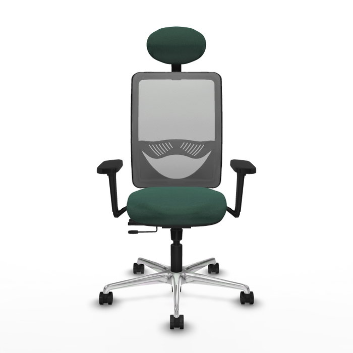 PIQUERAS Y CRESPO Silla de oficina Zulema con mecanismo Sincro/Traslack, verde botella y gris PIQUERAS Y CRESPO Silla de oficina Zulema con mecanismo Sincro/Traslack, verde botella y gris