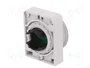 EATON ELECTRIC Lámpara de control RMQ-Titan verde