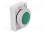 EATON ELECTRIC Lámpara de control RMQ-Titan verde