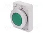EATON ELECTRIC Lámpara de control RMQ-Titan verde