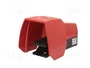 BERNSTEIN AG Interruptor de pie SPST-NO + SPST-NC