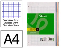 Liderpapel Recambio A4 120 Hojas Cuadro 5 mm Colores Pasteles