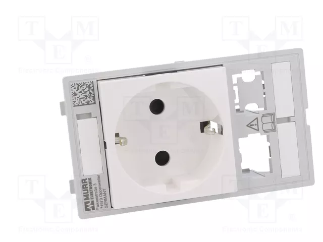 MURRELEKTRONIK MODLINK MSDD Interfaz de panel RJ45 MURRELEKTRONIK MODLINK MSDD Interfaz de panel RJ45