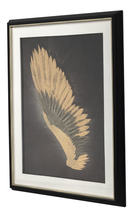 DKD Home Decor Cuadro de Alas Enmarcado Negro y Dorado
