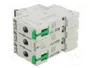SCHNEIDER ELECTRIC Easy9 Pro MCB 50A 3 Polos 6kA