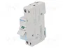 HAGER Interruptor de aislamiento SBN 25A 230VAC 1 Polo