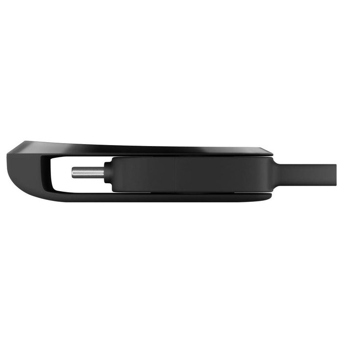 SanDisk Unidad Flash USB 256 GB USB 3.2 Gen 1 / USB-C Negro