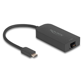 DeLOCK Adaptador de red USB Type-C a 2,5 Gigabit LAN 1 x RJ45 66046